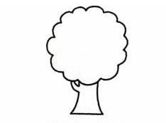 苹果树简笔画(图解步骤)