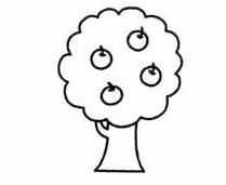 苹果树简笔画(图解步骤)