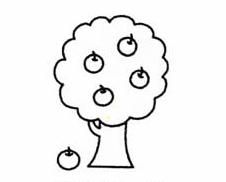 苹果树简笔画(图解步骤)