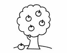 苹果树简笔画(图解步骤)
