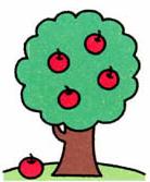 苹果树简笔画(图解步骤)