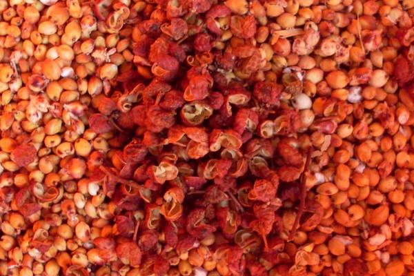 2018种花椒赚钱吗?花椒种植的利润与投资成本及前景预测