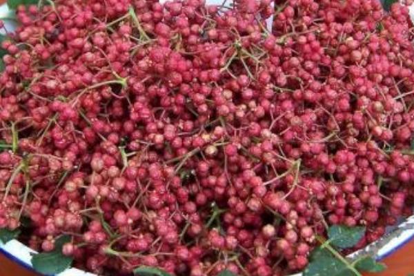 2018种花椒赚钱吗?花椒种植的利润与投资成本及前景预测