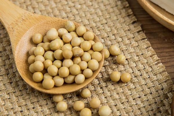 2018种大豆赚钱吗?大豆种植的利润与投资成本及前景预测