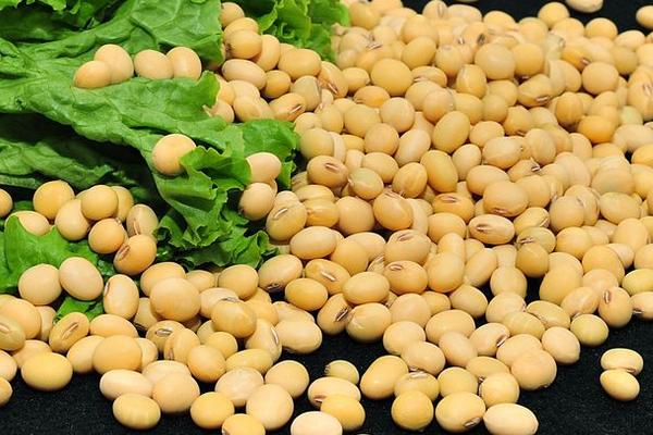 2018种大豆赚钱吗?大豆种植的利润与投资成本及前景预测