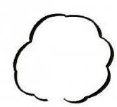 枣树简笔画(图解步骤)