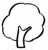 枣树简笔画(图解步骤)