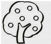 枣树简笔画(图解步骤)