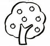 枣树简笔画(图解步骤)