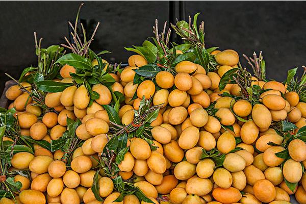 小芒果价格多少钱一斤