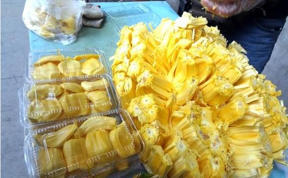 菠萝蜜什么时候成熟