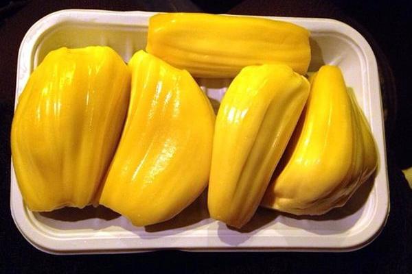 菠萝蜜什么时候成熟