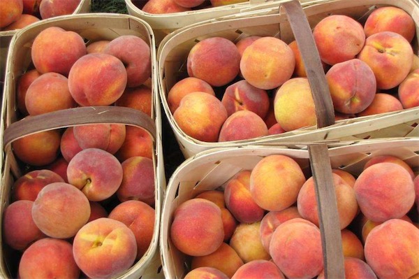 桃子可以放冰箱吗