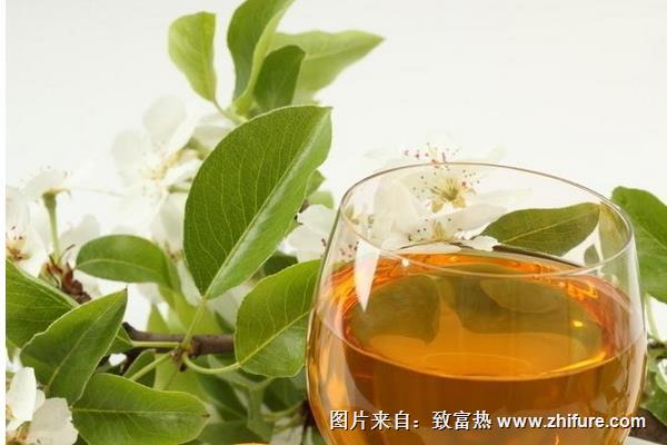 酸木瓜泡酒的功效与作用