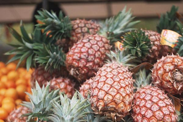 2018种菠萝赚钱吗?菠萝种植的利润与投资成本及前景预测