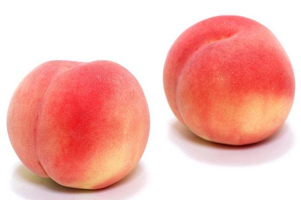 桃子是凉性还是热性