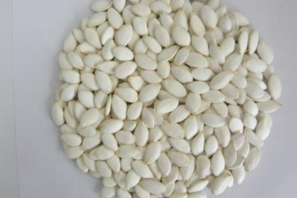 哈密瓜种子可以吃吗