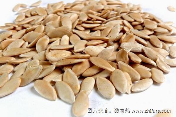 哈密瓜种子怎么种