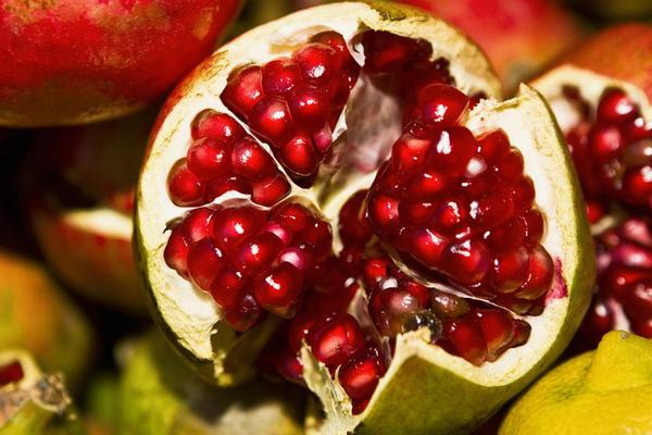 2018种石榴赚钱吗?石榴种植的利润与投资成本及前景预测