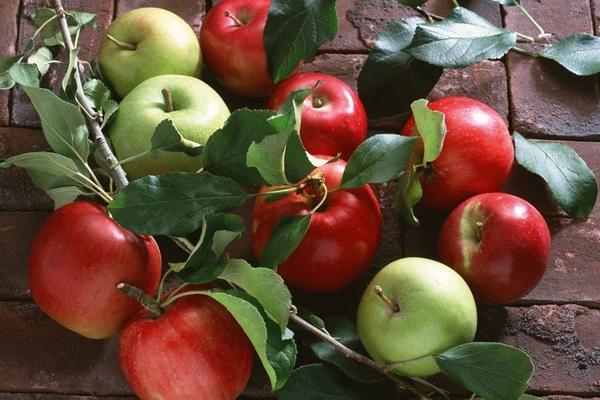 2018种苹果赚钱吗?苹果种植的利润与投资成本及前景预测