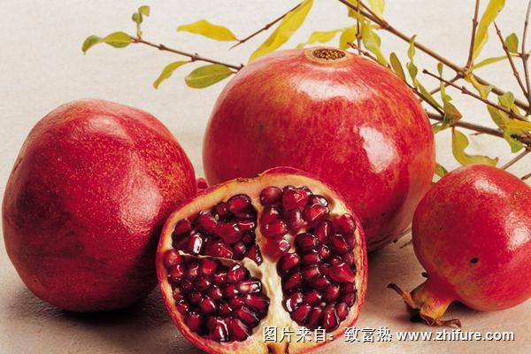 2018种石榴赚钱吗?石榴种植的利润与投资成本及前景预测