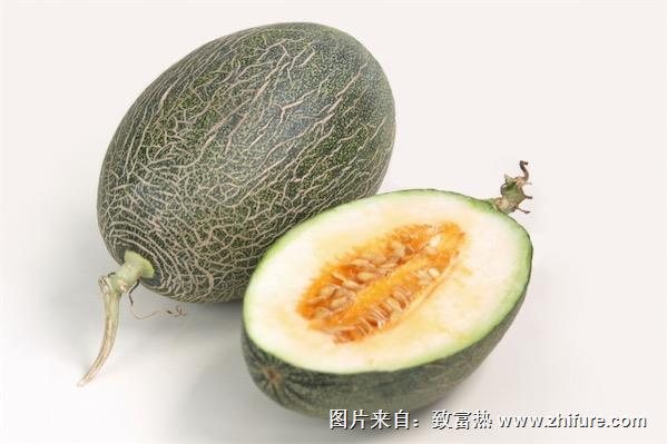 怎么挑选哈密瓜