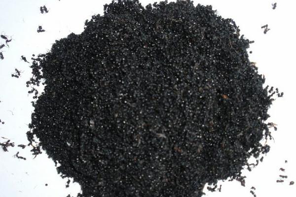 蚂蚁干保存方法或加工蚂蚁产品