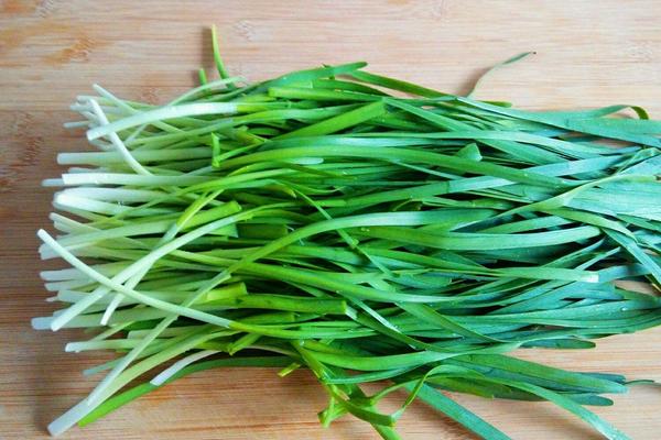 2018种韭菜赚钱吗?韭菜种植的利润与投资成本及前景预测