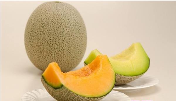 哈密瓜像什么