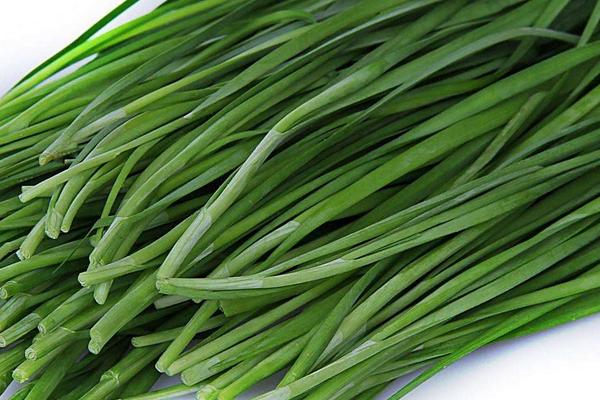 2018种韭菜赚钱吗?韭菜种植的利润与投资成本及前景预测