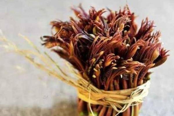 2018种香椿赚钱吗?香椿种植的利润与投资成本及前景预测