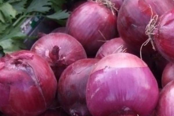 2018种洋葱赚钱吗?洋葱种植的利润与投资成本及前景预测