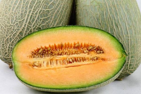 2018种哈密瓜赚钱吗?哈密瓜种植的利润与投资成本及前景预测