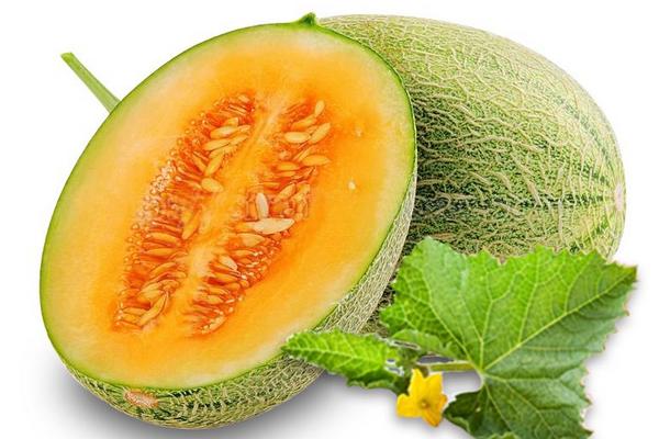 2018种哈密瓜赚钱吗?哈密瓜种植的利润与投资成本及前景预测