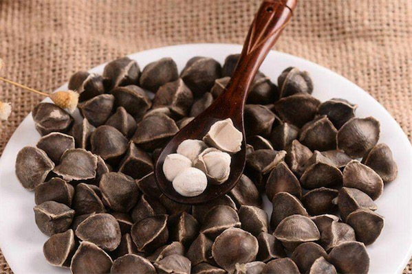 辣木籽的功效与作用及禁忌