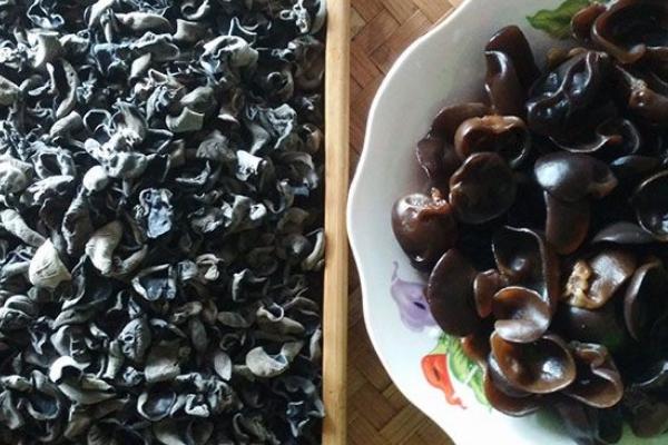 木耳能防癌吗?木耳的功效与作用?