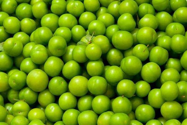 李子吃多了会怎么样