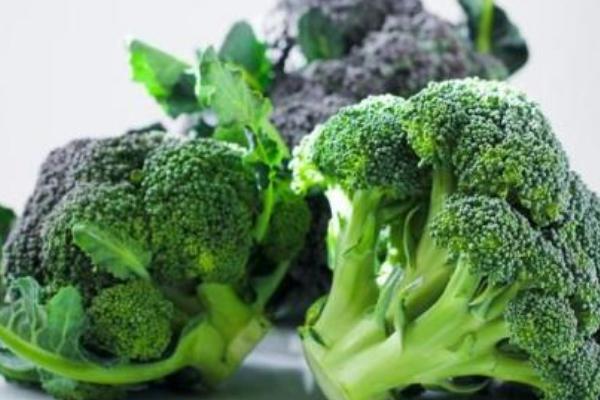 2018种花椰菜赚钱吗?花椰菜种植的利润与投资成本及前景预测