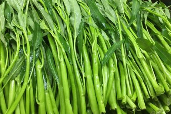 2018种空心菜赚钱吗?空心菜种植的利润与投资成本及前景预测