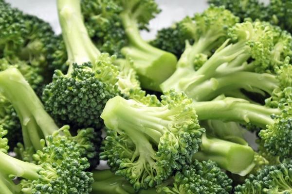 2018种西兰花赚钱吗?西兰花种植的利润与投资成本及前景预测