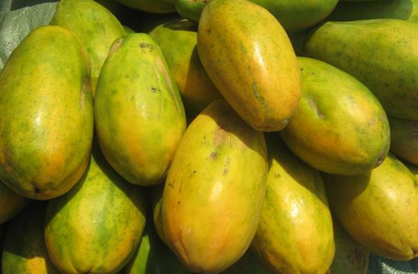 木瓜的营养价值