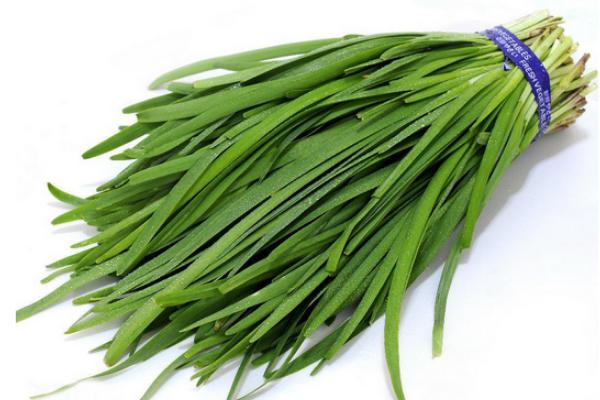 韭菜品种有哪些