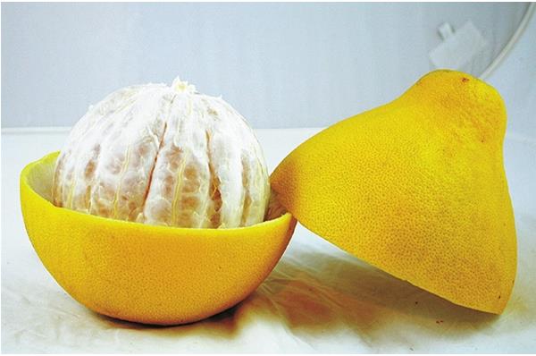 柚子的营养价值及功效 柚子及柚子皮的药用价值