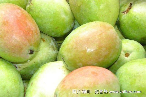 酸木瓜和木瓜的区别是什么