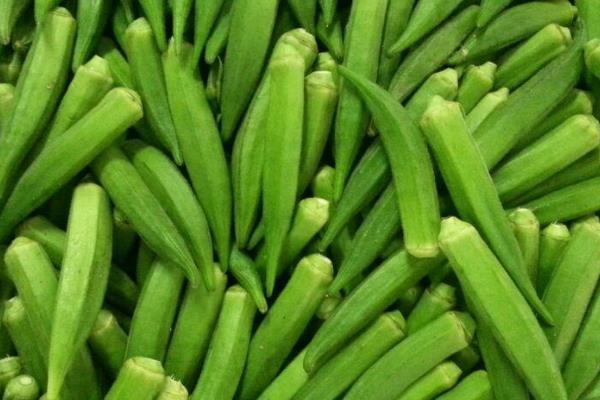 2015种黄秋葵赚钱吗?2015黄秋葵种植前景及市场价格分析