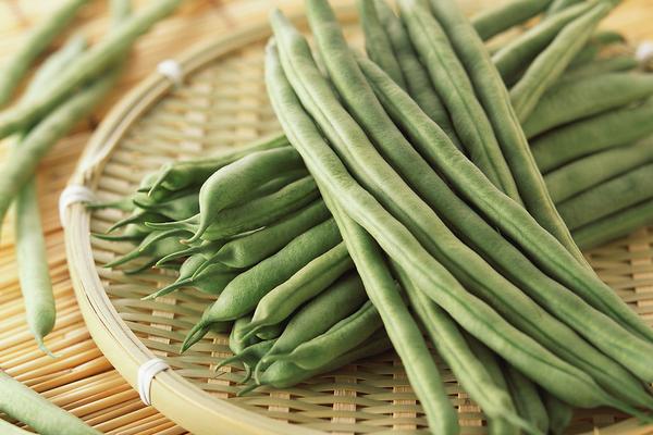 2018种芸豆赚钱吗?芸豆种植的利润与投资成本及前景预测