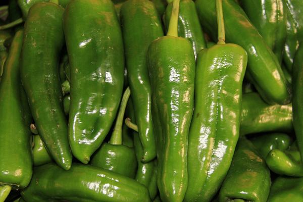 2018种青椒赚钱吗?青椒种植的利润与投资成本及前景预测