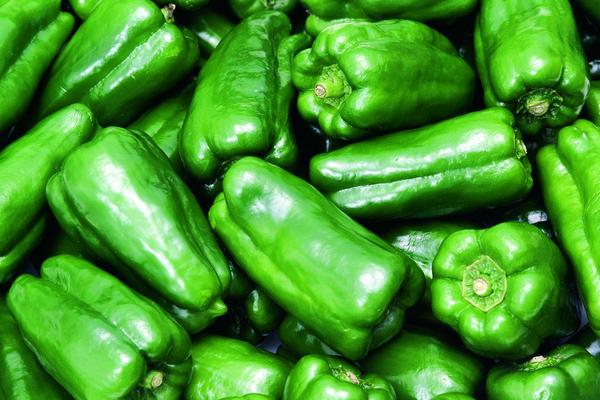 2018种青椒赚钱吗?青椒种植的利润与投资成本及前景预测