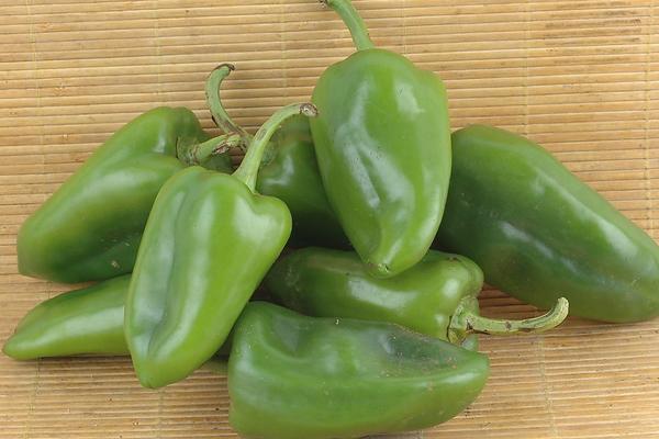 2018种青椒赚钱吗?青椒种植的利润与投资成本及前景预测