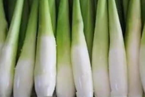 2018种茭白赚钱吗?茭白种植的利润与投资成本及前景预测